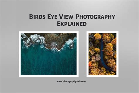 bird's eye view meaning|Bird's.